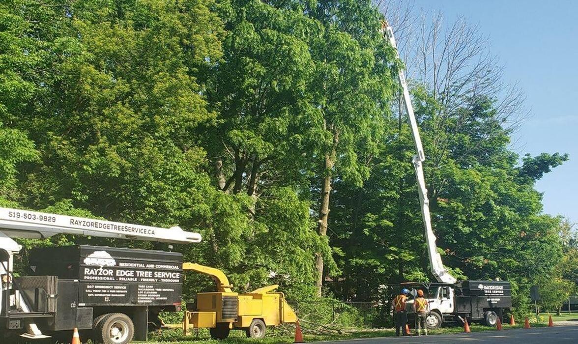 Images Rayzor Edge Tree Service