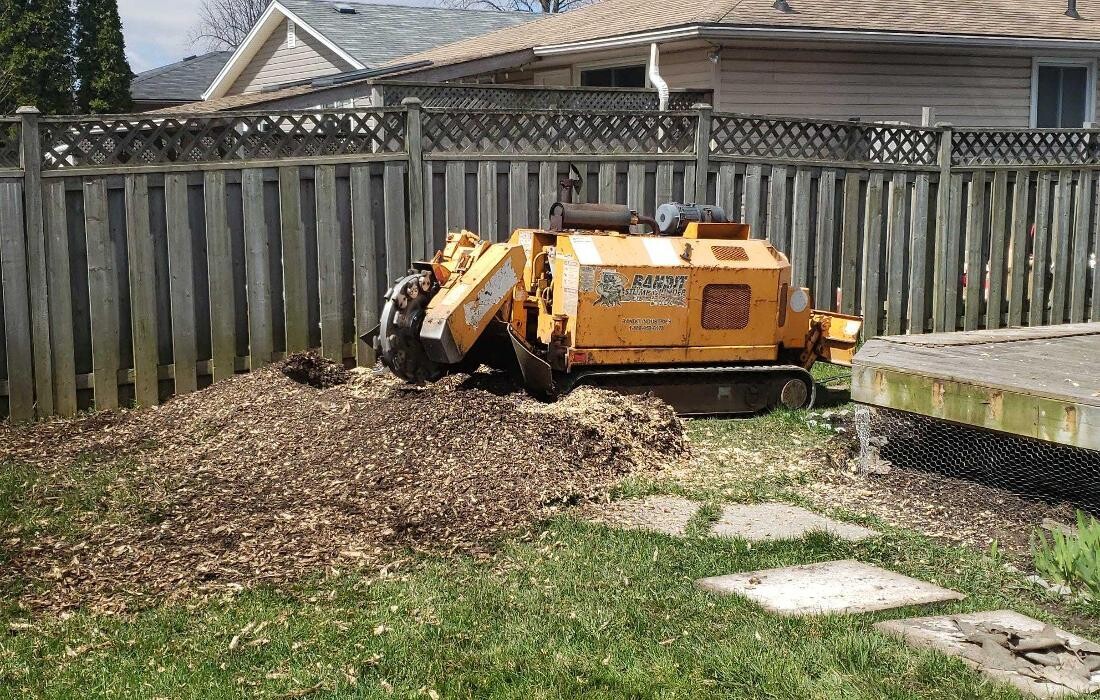 Images Rayzor Edge Tree Service