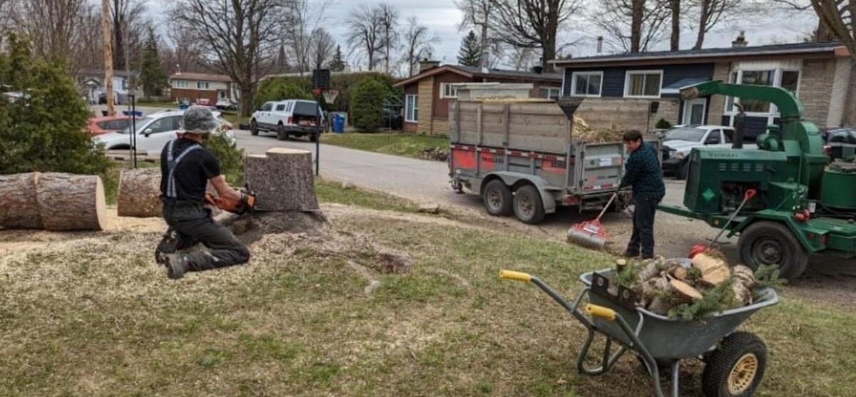 Images Greenleaf Tree Service