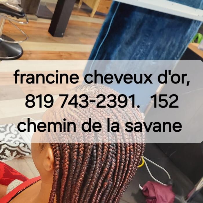 Images Francine cheveux d'or, tresses africaines