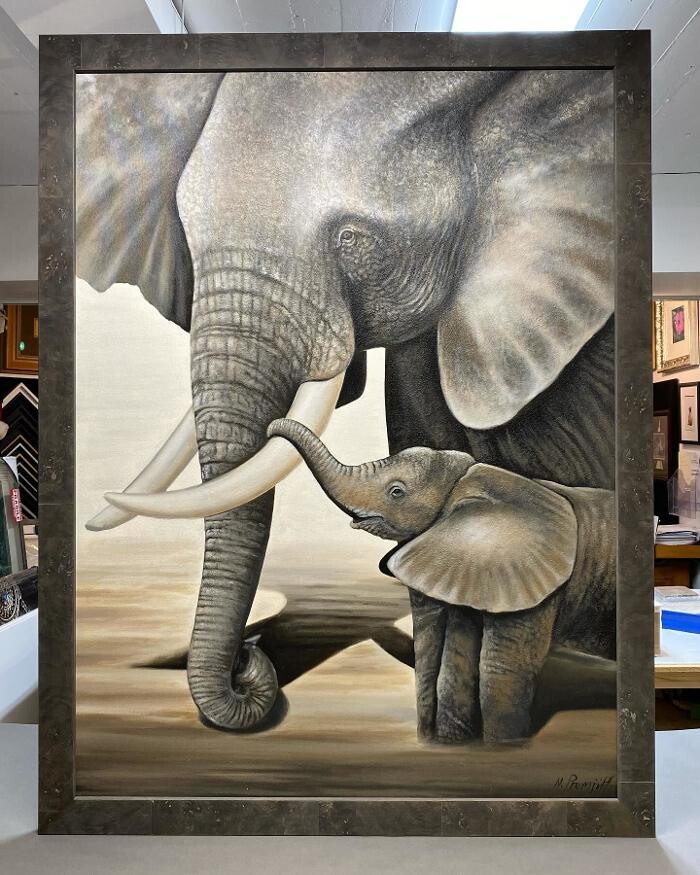 Images Artifice Encadrement