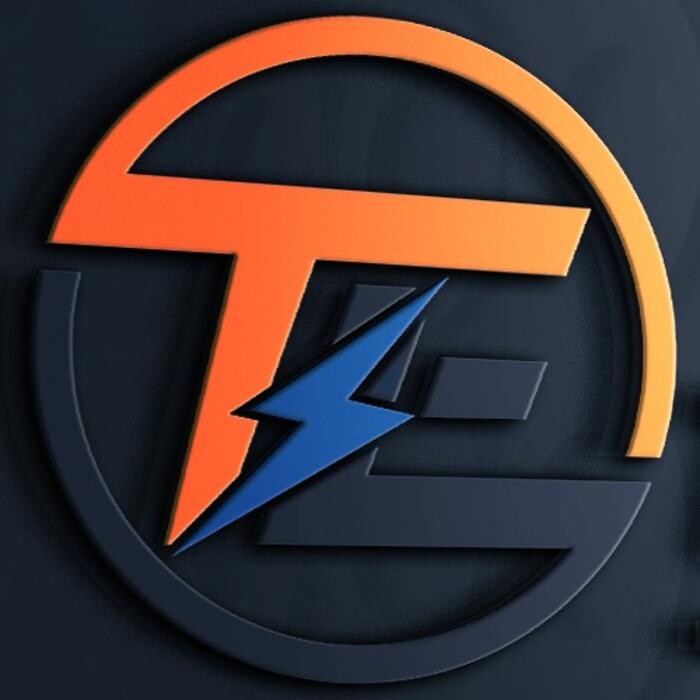 Two Lions Electric Ltd Logo