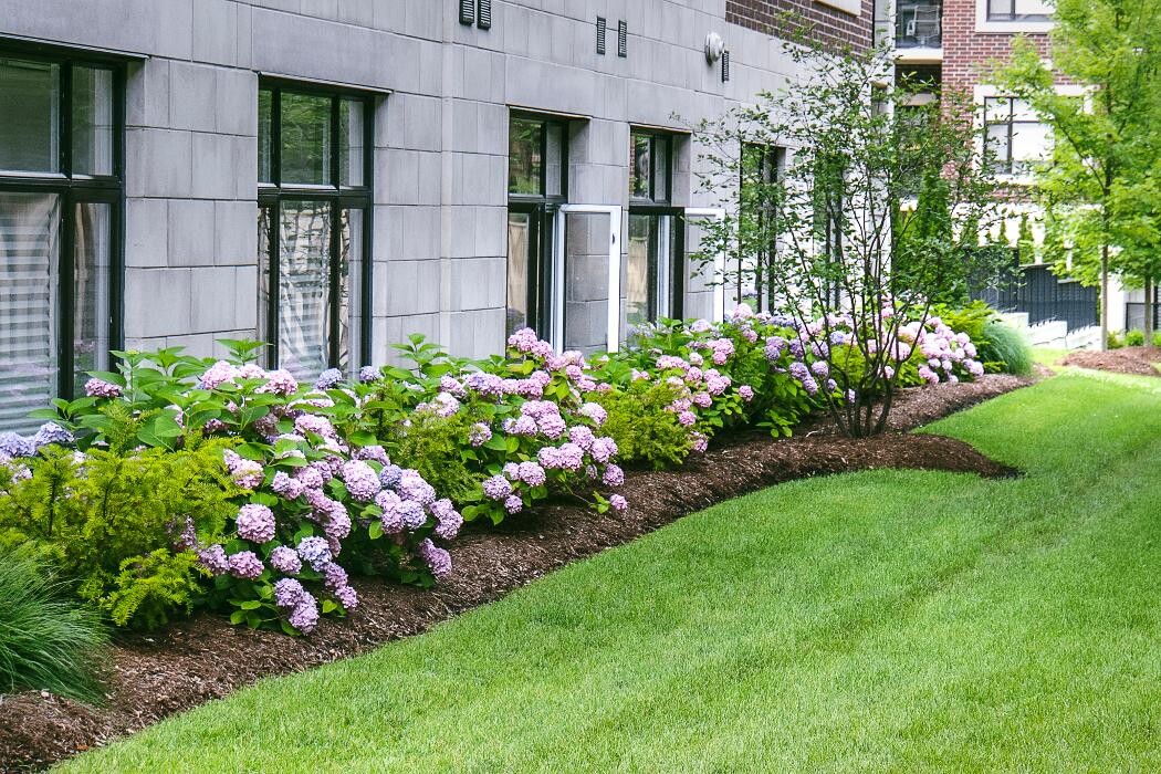 Images Top Trimming Landscaping & Maintenance