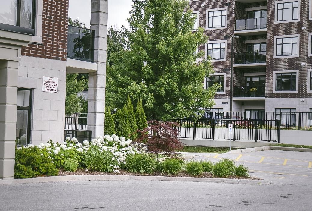 Images Top Trimming Landscaping & Maintenance