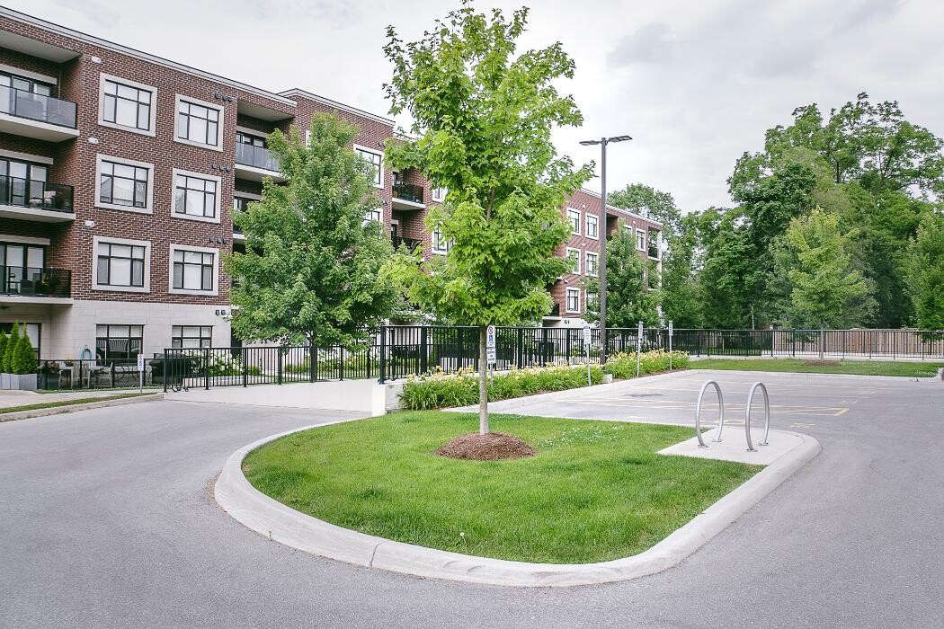 Images Top Trimming Landscaping & Maintenance