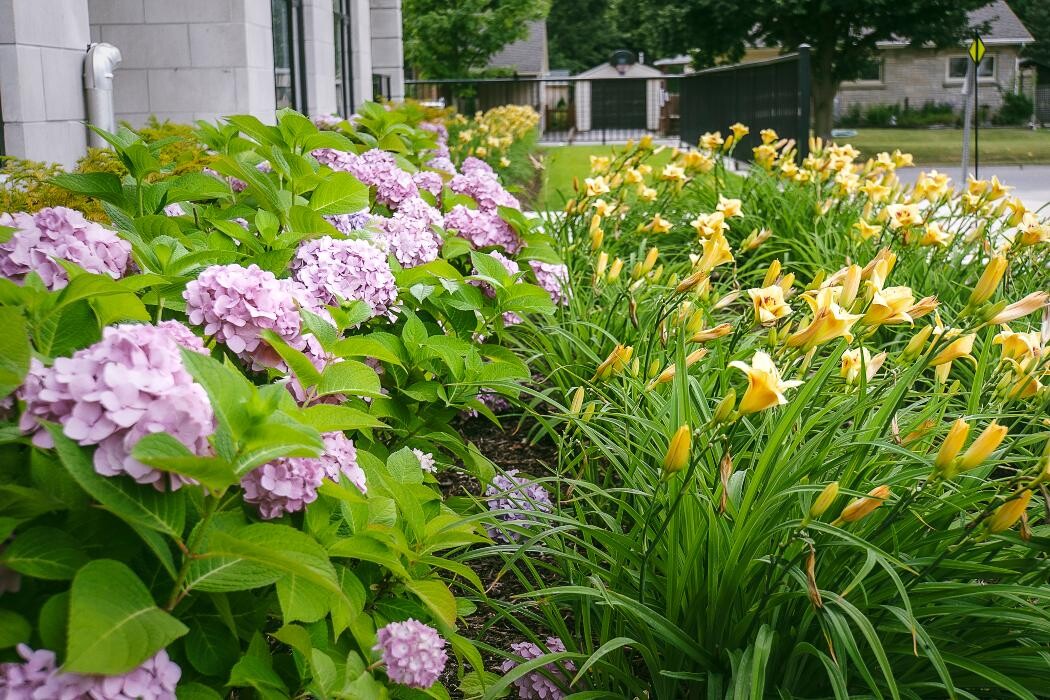 Images Top Trimming Landscaping & Maintenance