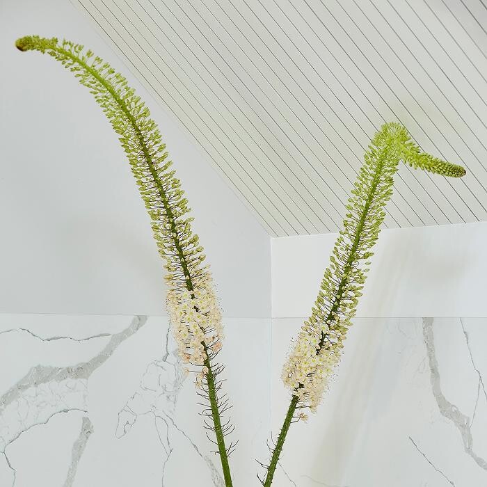 Images KOS Architectural & Interior Design