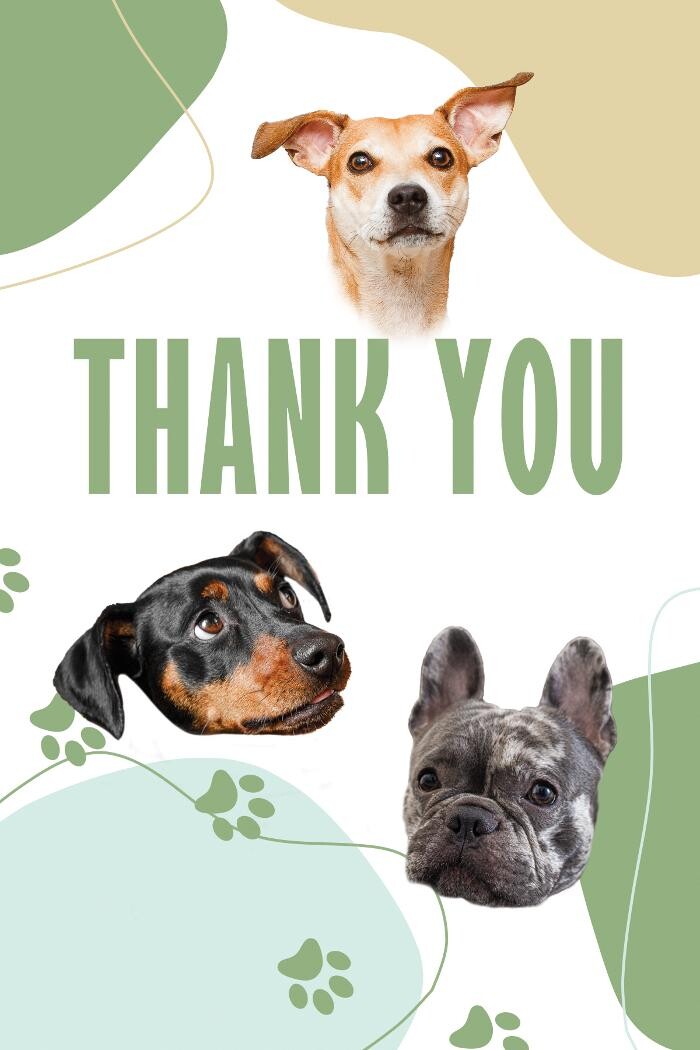 Images Pet Pics House & Pet Sitting