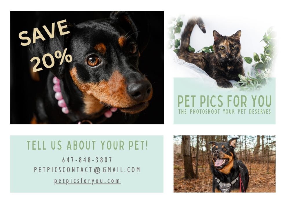 Images Pet Pics House & Pet Sitting