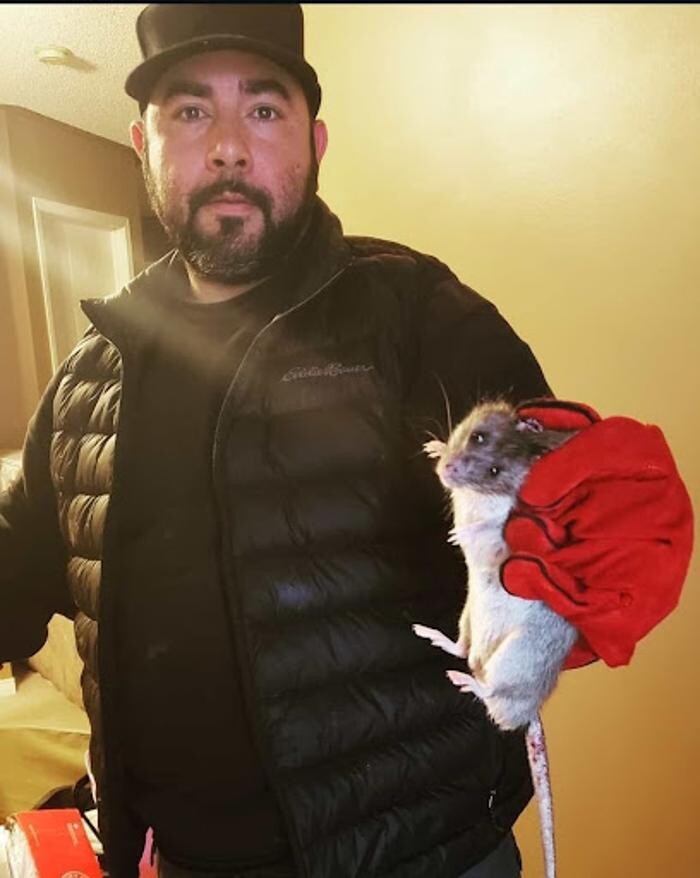 Images Pest Ops Pro