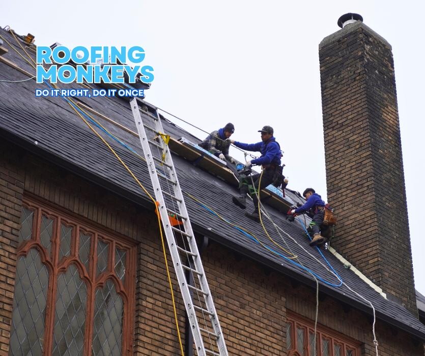 Images Roofing Monkeys