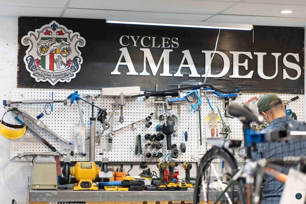 Images Cycles Amadeus