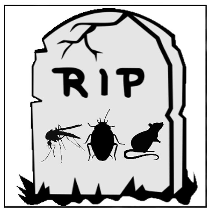Images Pest Wizard Extermination Services