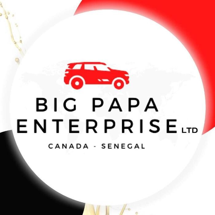 BIG PAPA entreprise ltd sarl Logo