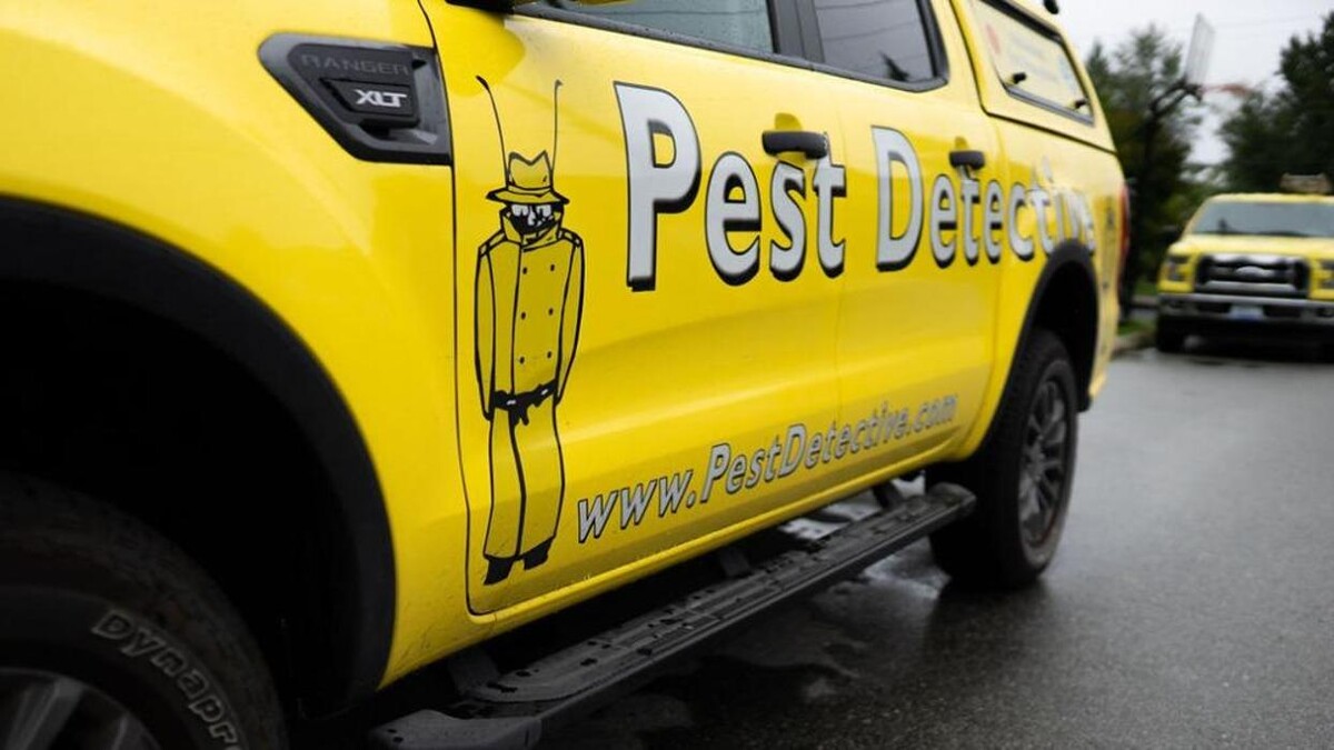 Images Pest Detective - Corporate Head Office