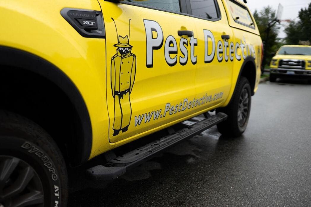 Images Pest Detective - Corporate Head Office