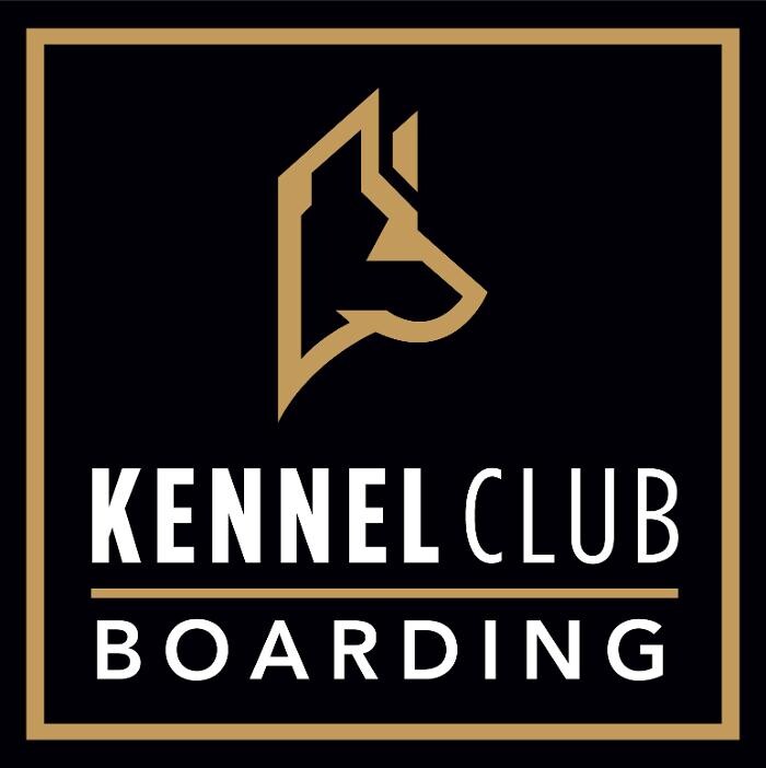 Images Kennel Club Boarding