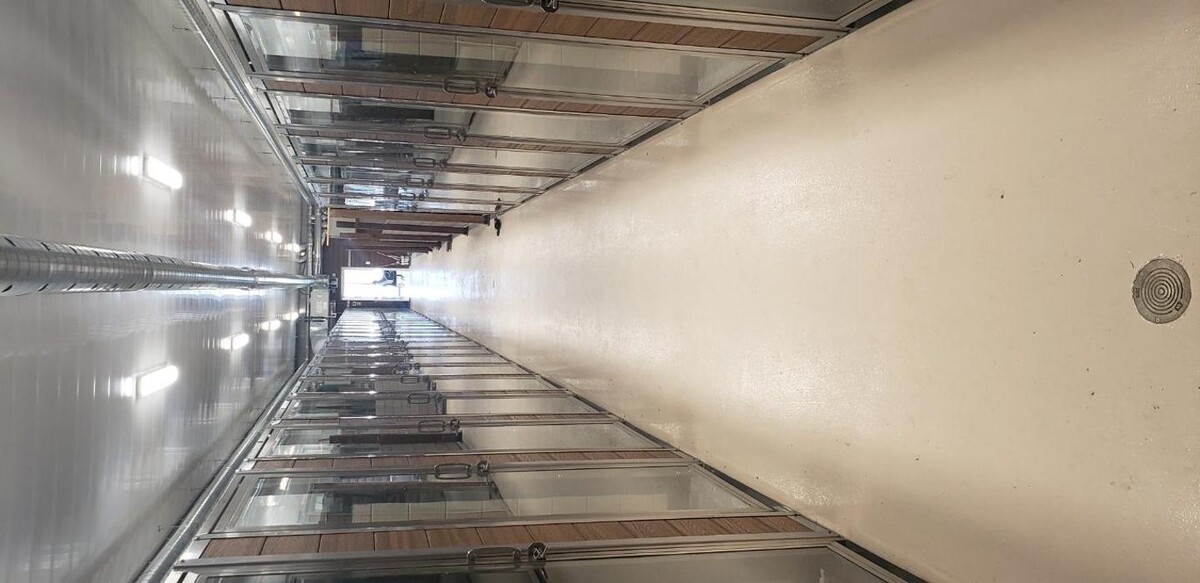 Images Kennel Club Boarding