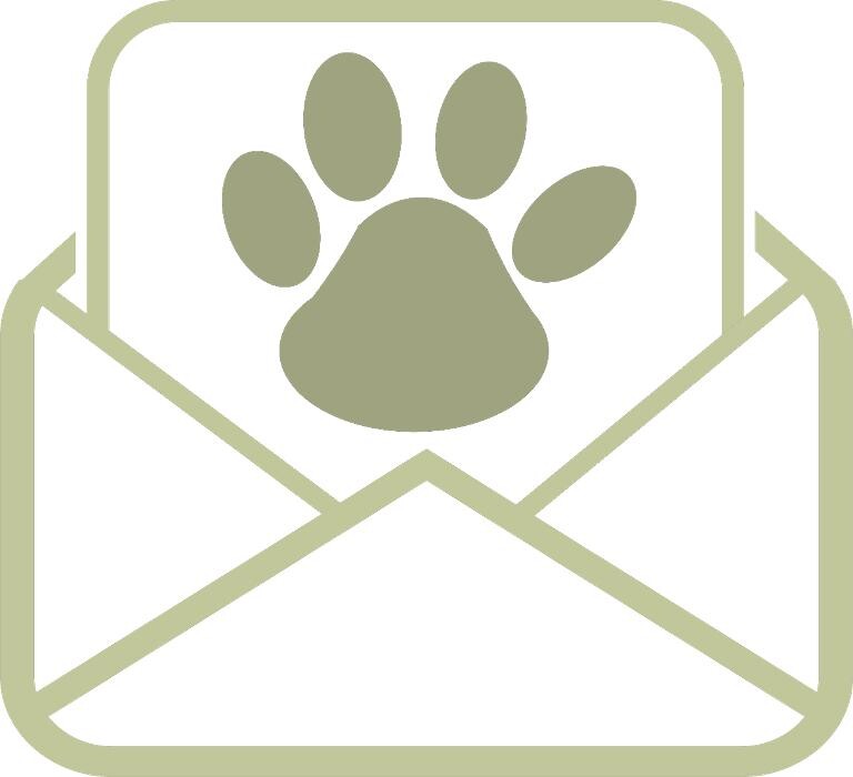 Images Kennel Club Boarding