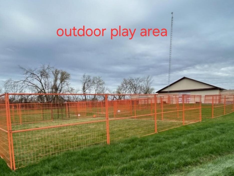 Images Kennel Club Boarding