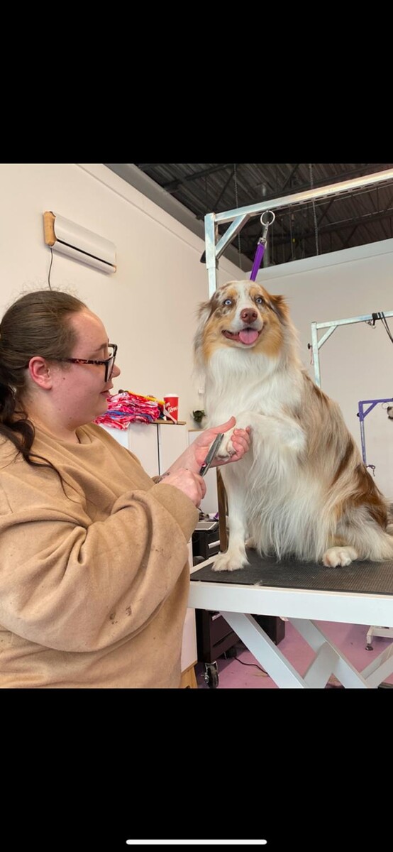 Images PawLished Pets Spa & Clubhouse