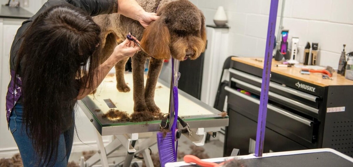 Images PawLished Pets Spa & Clubhouse