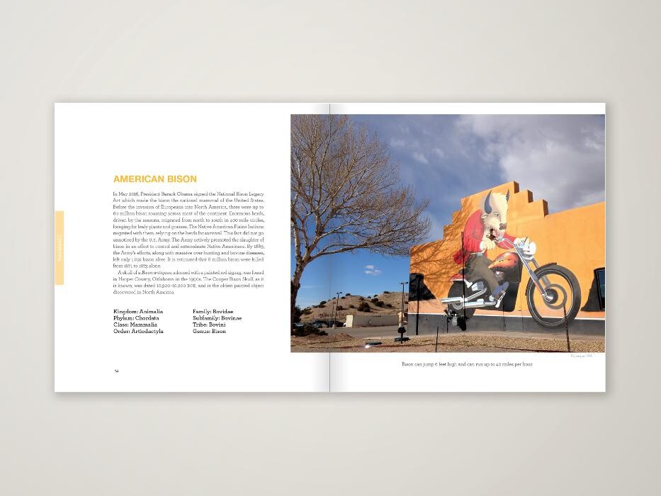 Images Raven Book Design