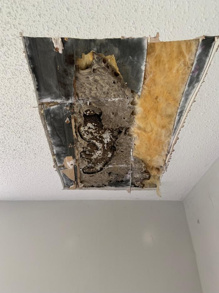 Images Rekkr Pest Control Solutions