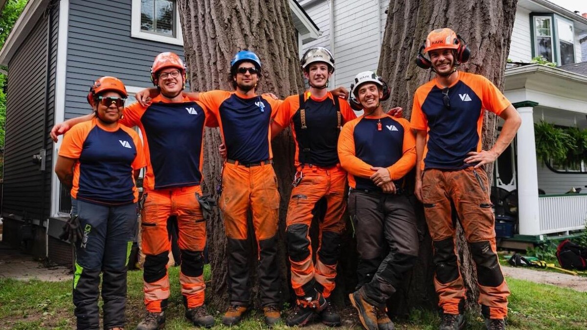 Images Vista Tree Management