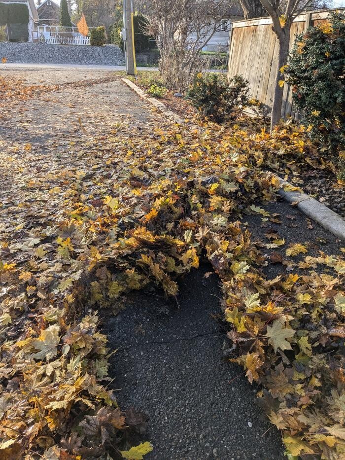 Images TyGr Property Services