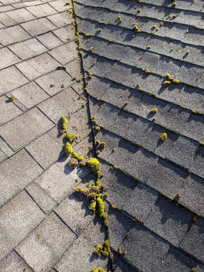 Images TyGr Property Services