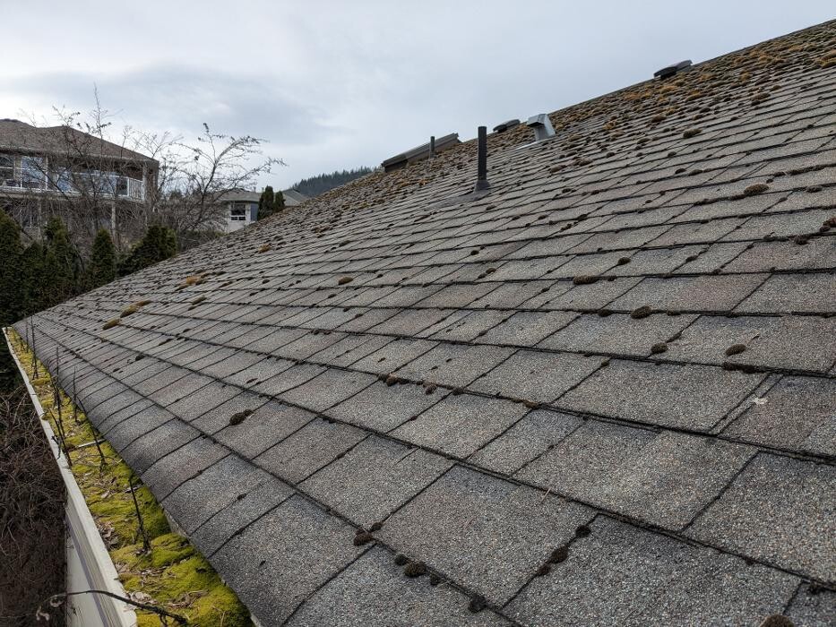 Images TyGr Property Services