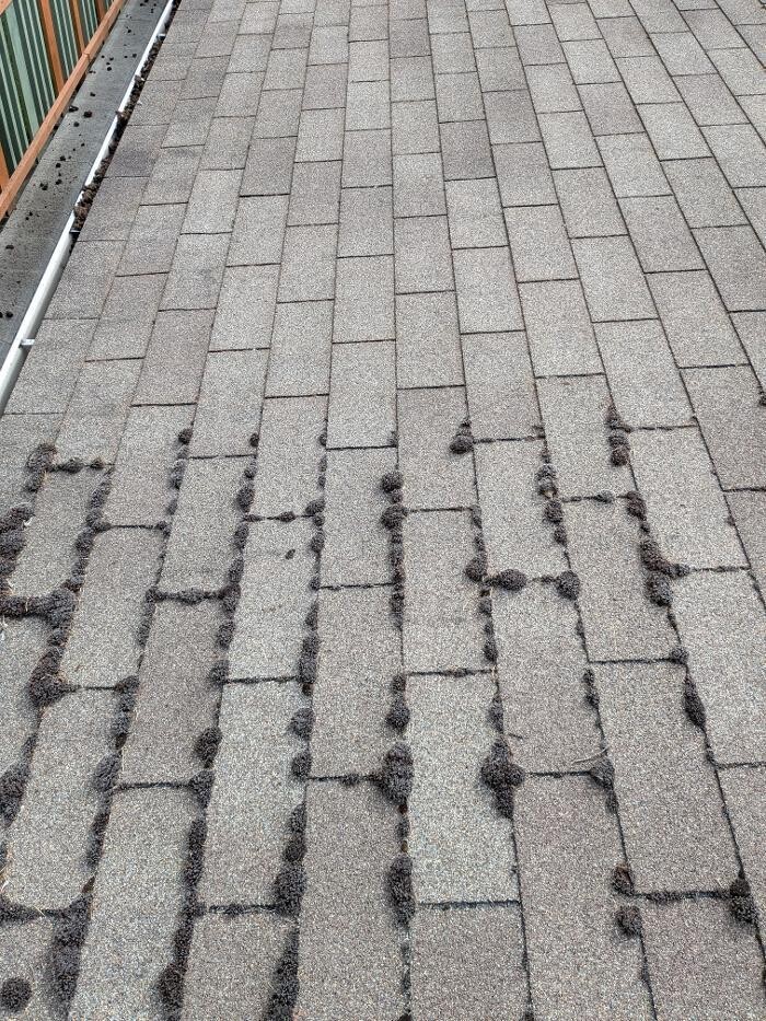 Images TyGr Property Services