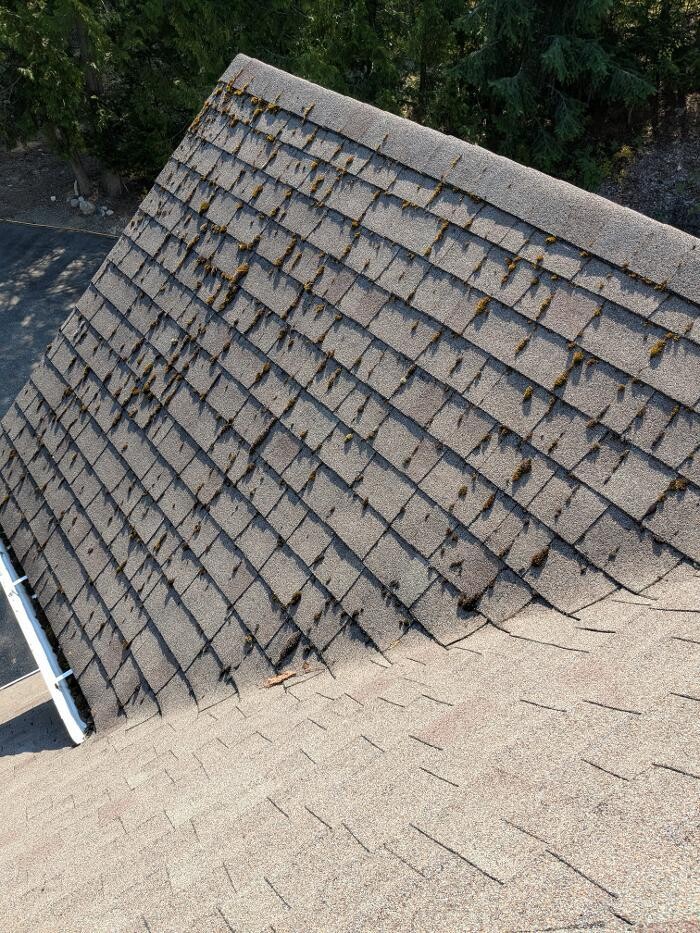 Images TyGr Property Services