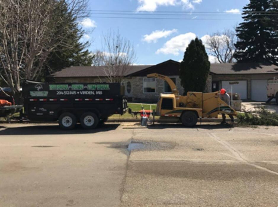 Images Branching Out Tree Service Ltd