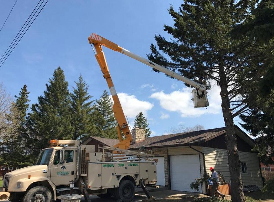 Images Branching Out Tree Service Ltd