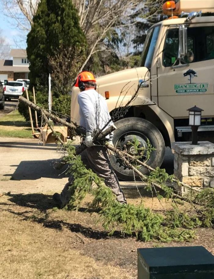 Images Branching Out Tree Service Ltd