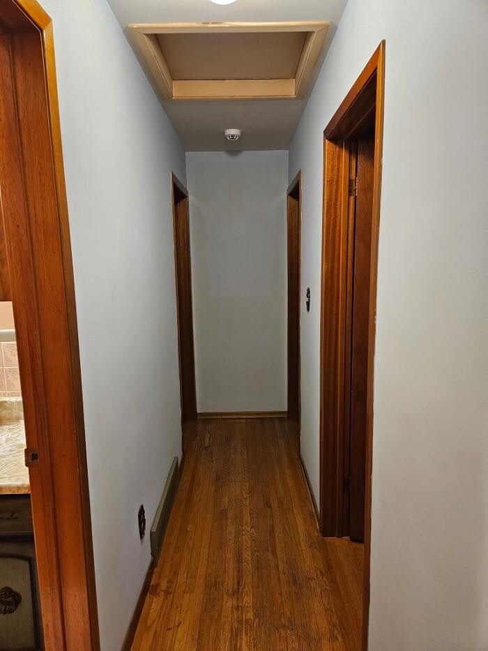 Images That Cleaning Lady