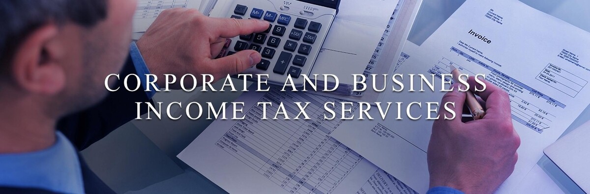 Images Vayani Bookkeeping And Accounting Services Ltd.