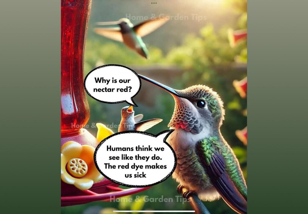 Images Backyard Birder Home & Garden Gift Store