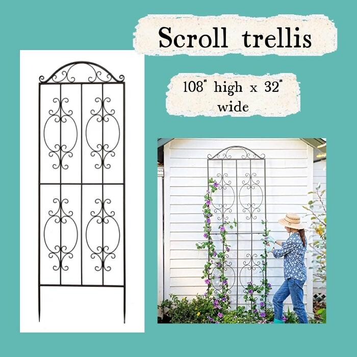 Images Backyard Birder Home & Garden Gift Store