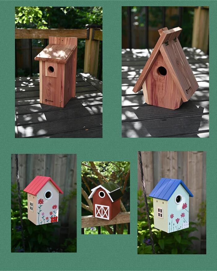 Images Backyard Birder Home & Garden Gift Store