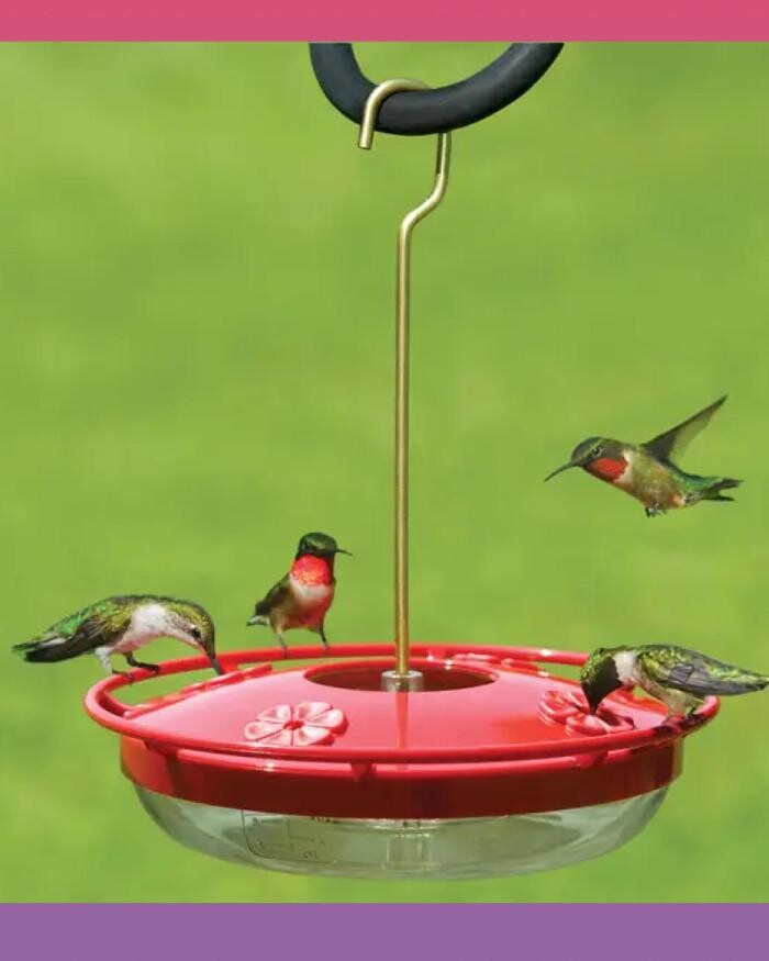 Images Backyard Birder Home & Garden Gift Store