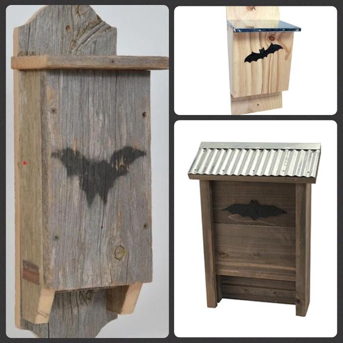 Images Backyard Birder Home & Garden Gift Store