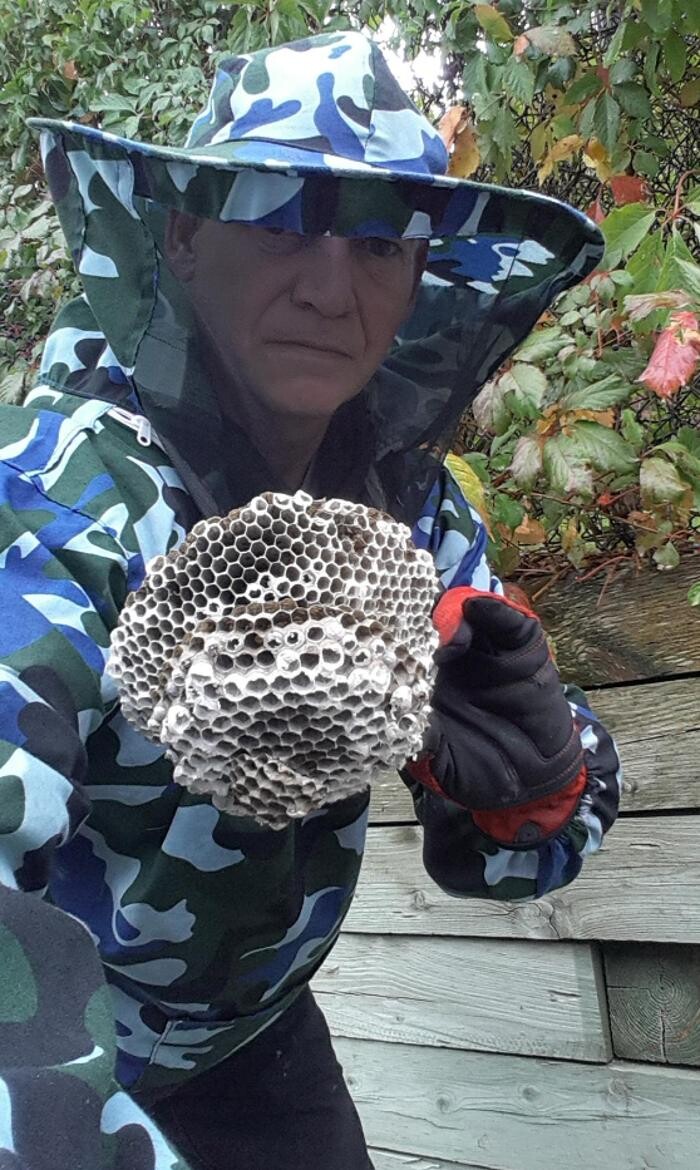 Images Critter Control of Toronto (Downtown Toronto)