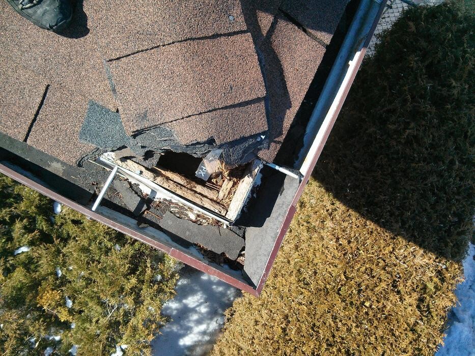 Images Critter Control of Toronto (Downtown Toronto)