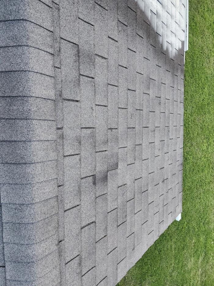 Images Jantzi Shingle Rejuvenation