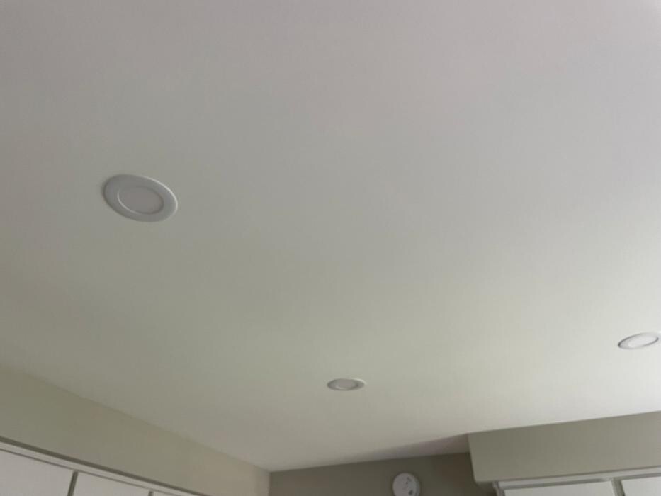 Images Executive Ottawa Painting