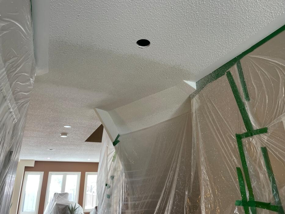 Images Executive Ottawa Painting