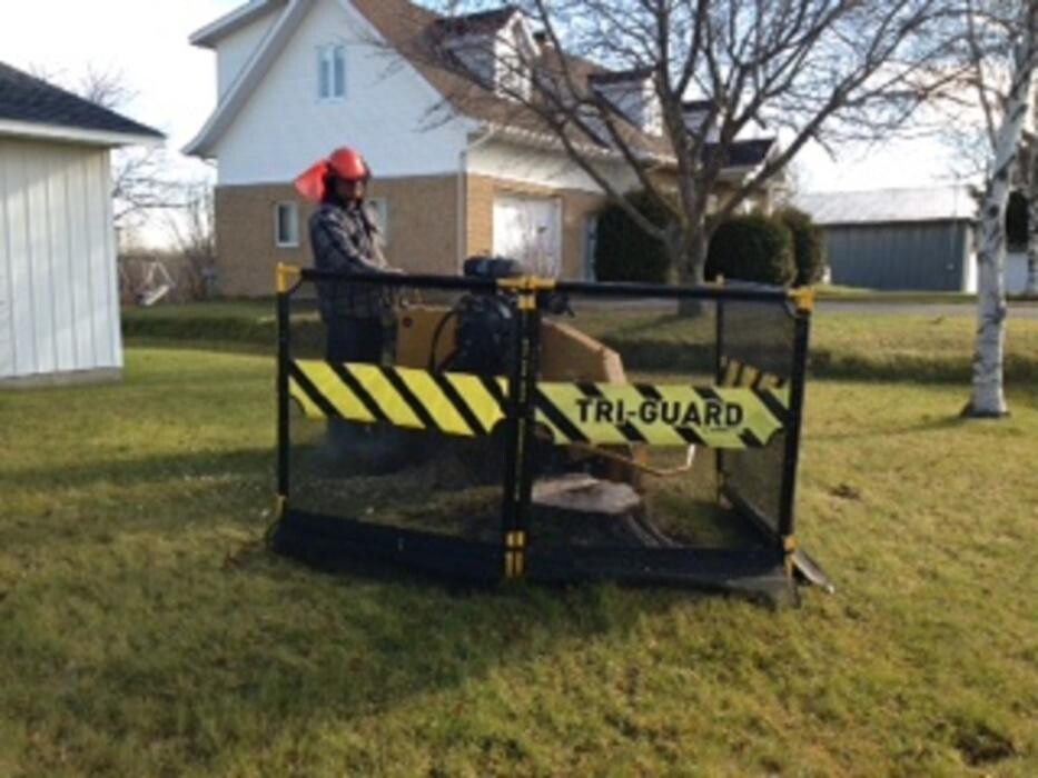Images Émondage Insta-Coupe Inc Service d'Arbres